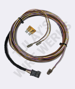 BMW E46 Rain Sensor Wire Harness