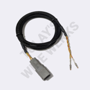 BMW E46 CAN-Bus 2-pin DTM to OBDII Adapter